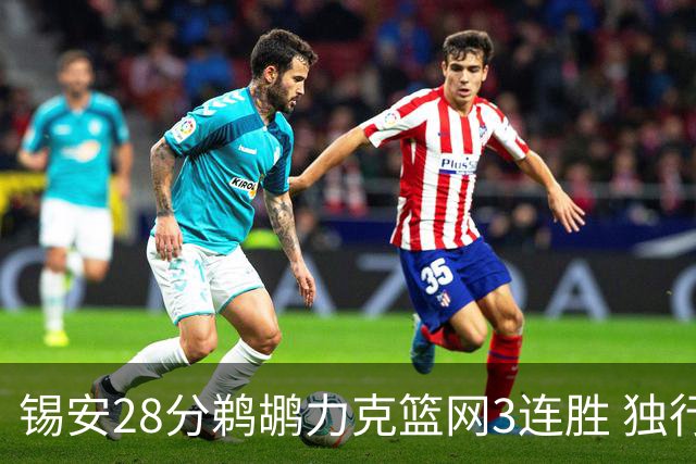 锡安28分鹈鹕力克篮网3连胜 独行侠险胜马刺